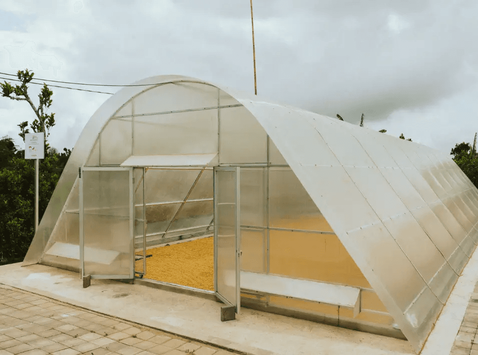 Our Coffee processing area in Manikliyu Village, Kintamani, Bali