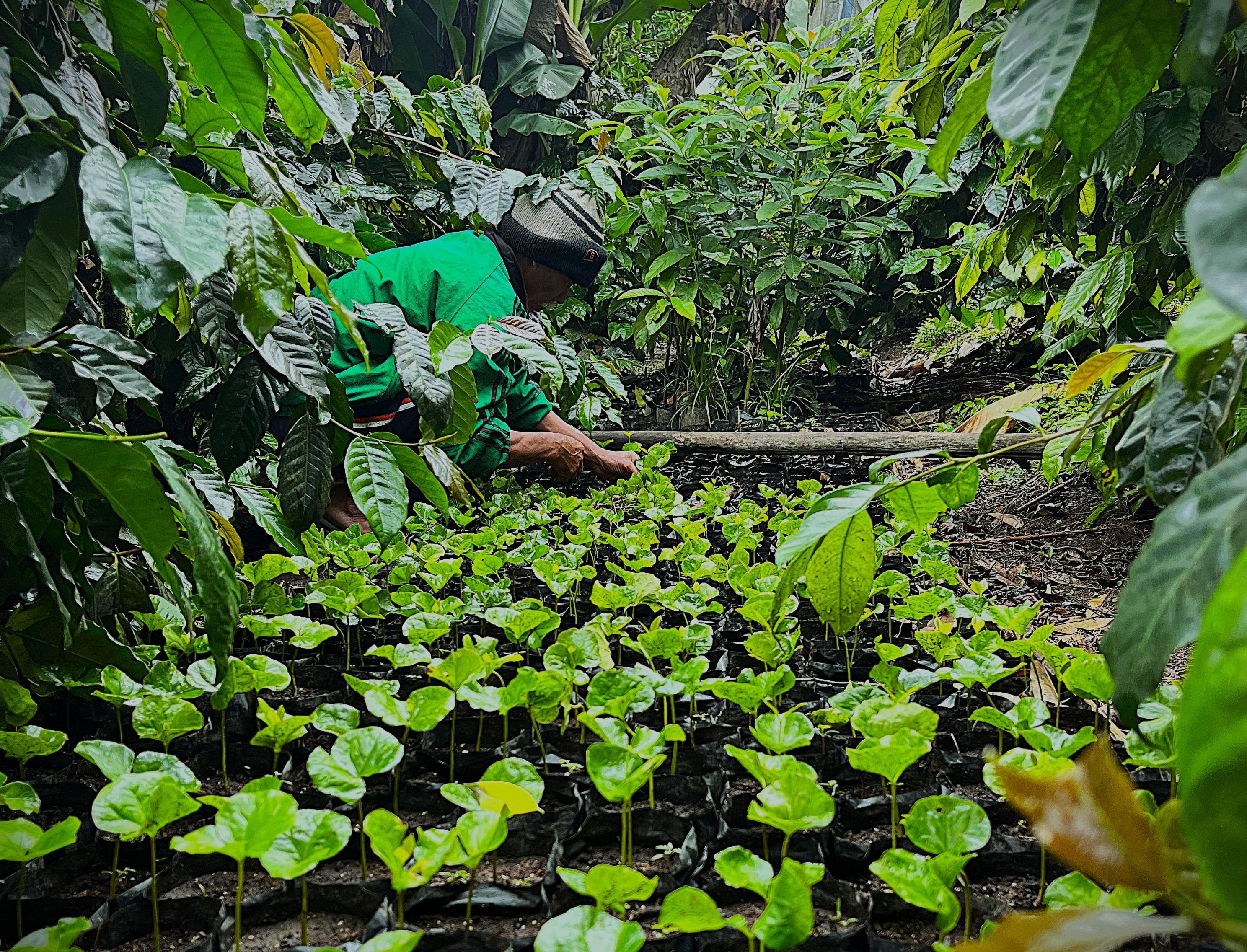 Soil Conservation & Health